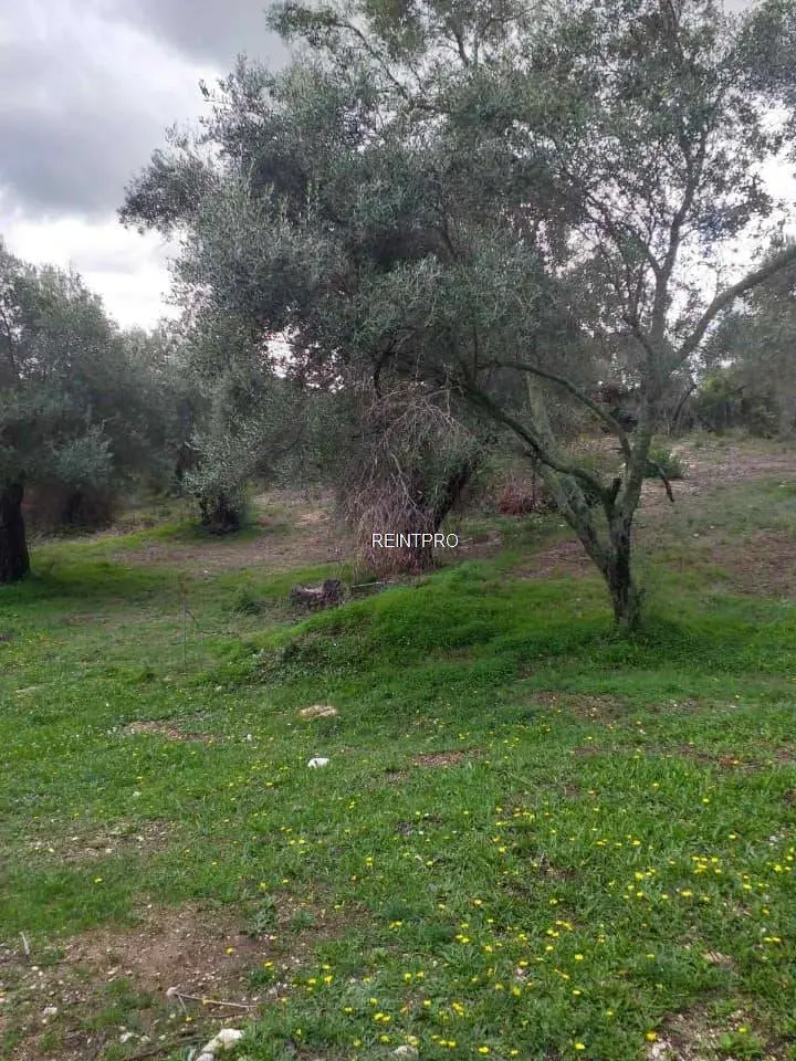 قطعة الارض للبيع من قبل المالك Dimos Corfu  photo 1