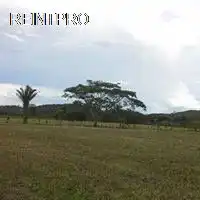 Land Kaufen von Agent Cayo District   San Ignacio  photo 1