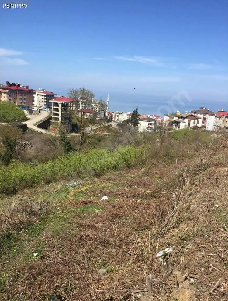 Sahibinden Satılık Arsa Trabzon   1 nolu Bostancı mahallesi  photo 1