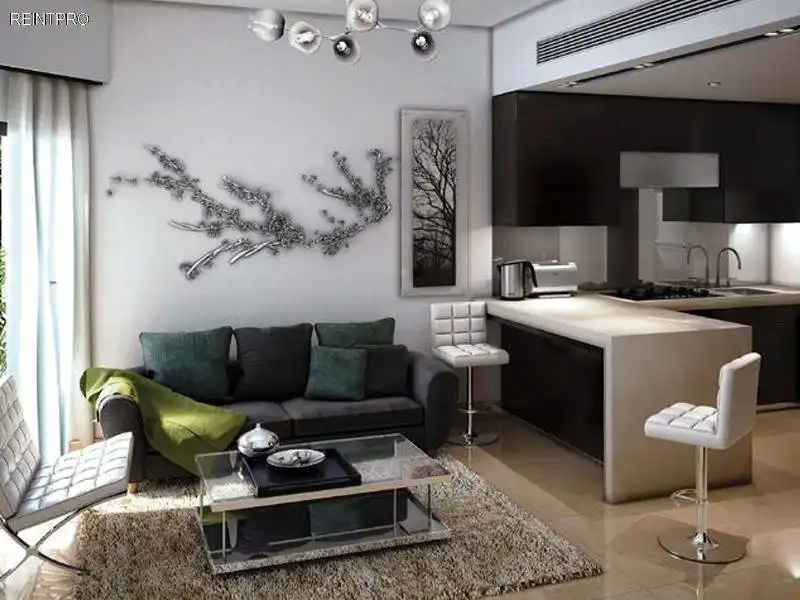Apartment For Sale by Agent Dubai   Dubailand  photo 1