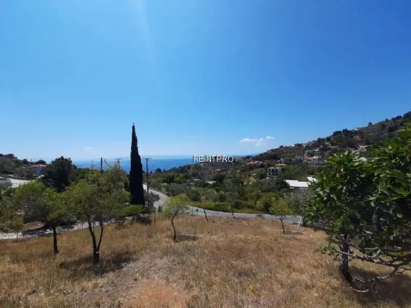 земля Продажа от Хозяев Dimos Skopelos  photo 1