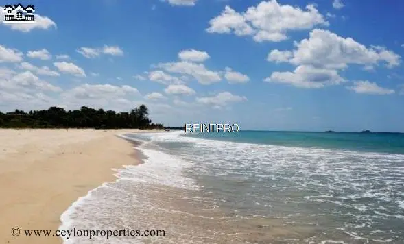 Land For Sale by Agent Western Province   City of Colombo  photo 1