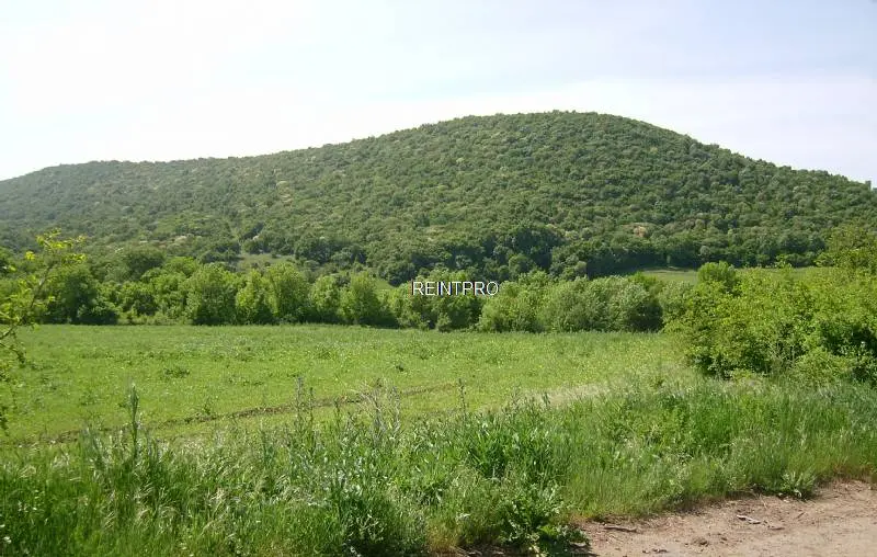 Land For Sale by Owner Medovo  photo 1