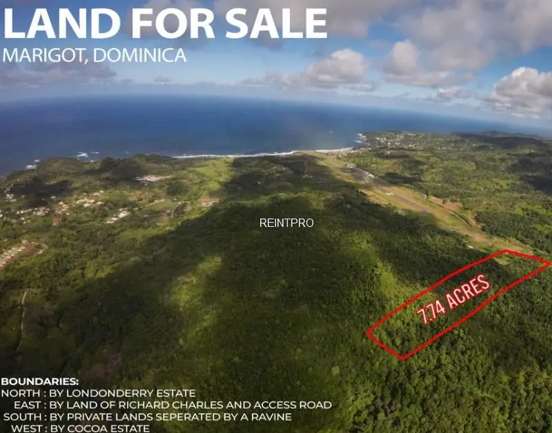 Land For Sale by Agent Saint Andrew   Londonderry Portion of Land of  photo 1